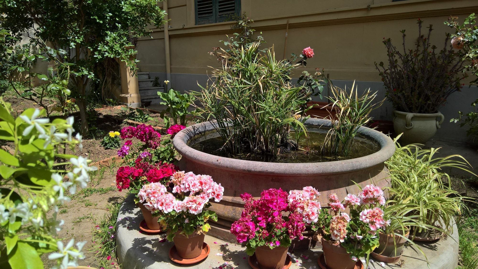 Hotel Le Rose Del Viale Palermo Exteriér fotografie